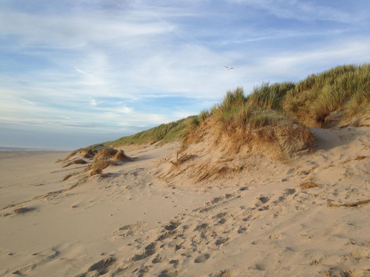 Beachhouses Texel De Koog  Bagian luar foto